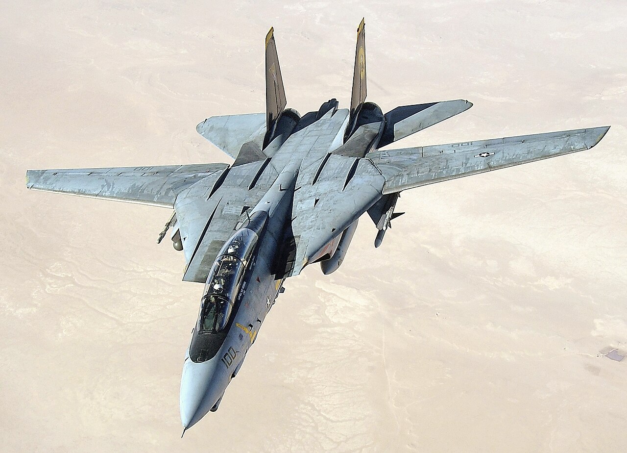 Grumman F-14 Tomcat aircraft photograph