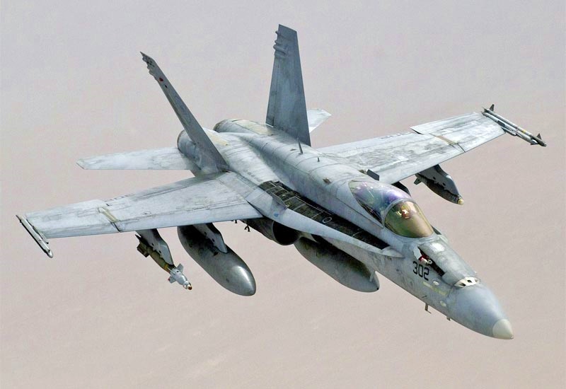 McDonnell Douglas F/A-18 Hornet aircraft photograph
