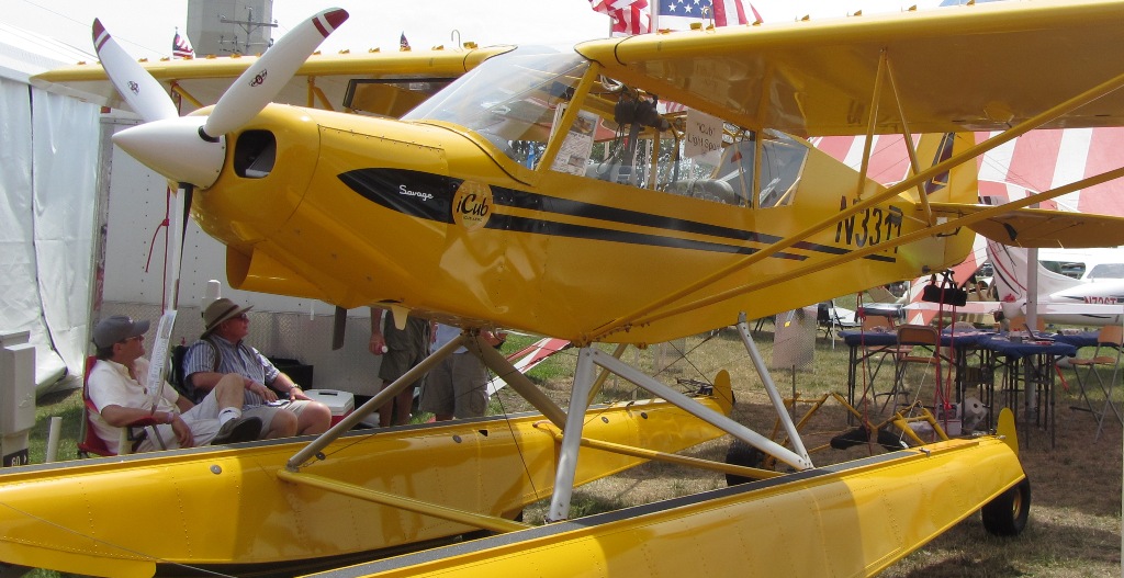 Savage Cub aircraft photograph