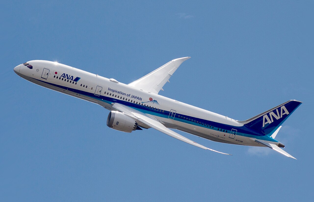Boeing 787-9 Dreamliner aircraft photograph