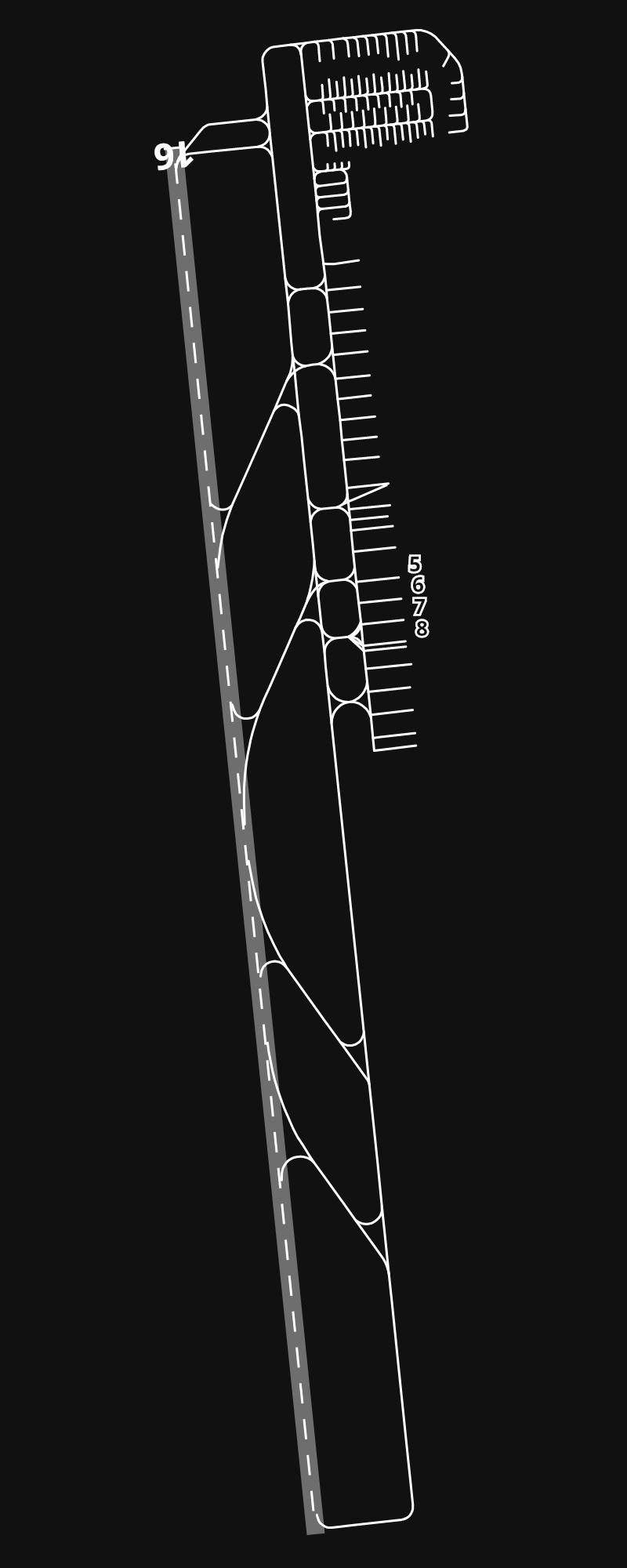 MMSD Aeropuerto Internacional de Los Cabos airport diagram — runways, taxiways and parking stands