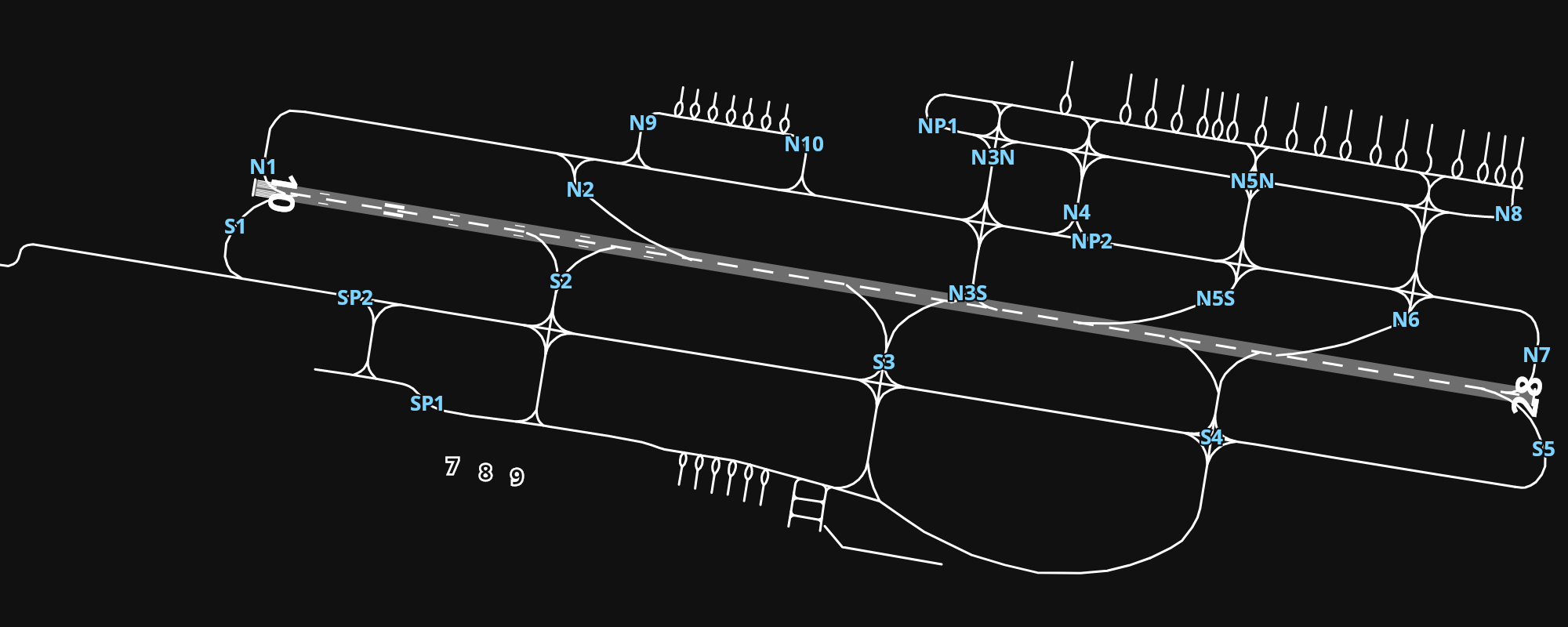 WARR Juanda International Airport airport diagram — runways, taxiways and parking stands